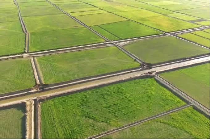 مشوقهای اقتصادی برای تجمیع اراضی مشوقهای اقتصادی برای تجمیع اراضی